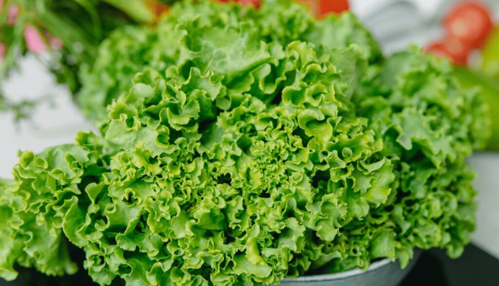 Leafy Greens: Nutrient-Dense Recovery Food