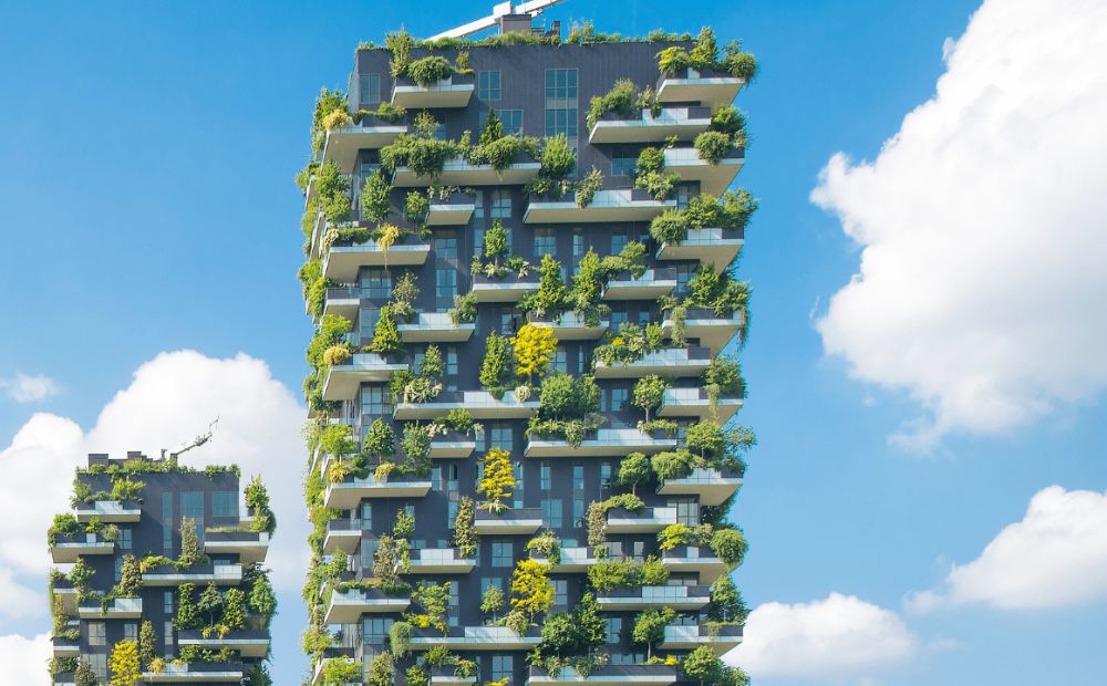 Vertical Gardening: Elevating Your Garden's Potential