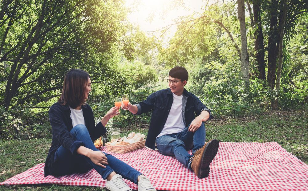 Picnic in the Park