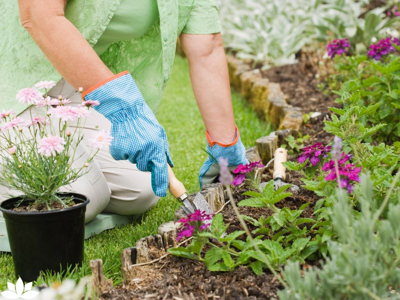 Embracing Gardening: The Number 1 Soul-Soothing Hobby for Mindful Living