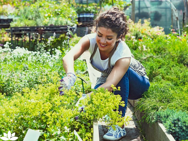 Embracing Gardening: The Number 1 Soul-Soothing Hobby for Mindful Living