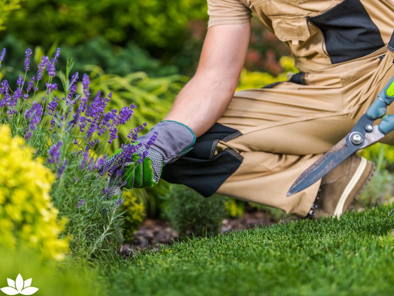 Top 10 Vegetables for Indoor Gardening: Cultivate Freshness and Flavor in Your Home