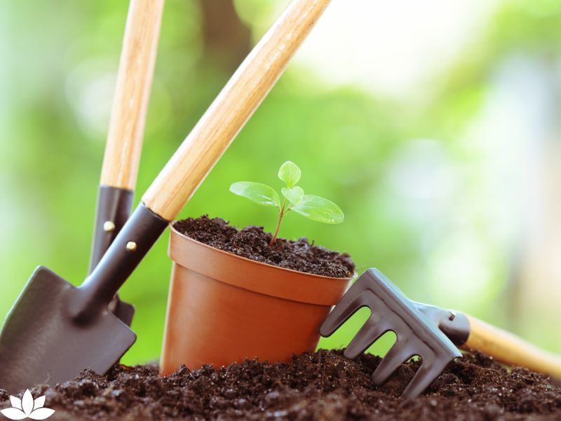 What is the Meaning of Doing Gardening? Unearthing the Deeper Significance