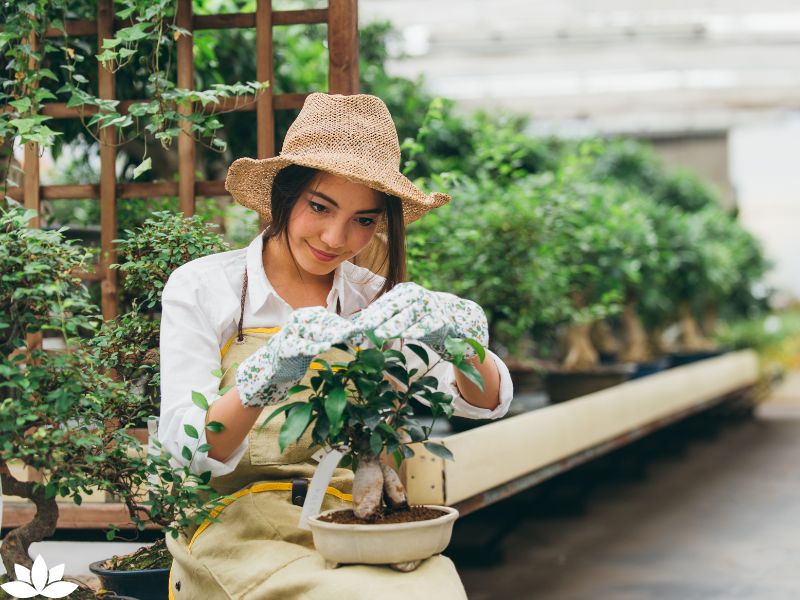 What is the Meaning of Doing Gardening? Unearthing the Deeper Significance