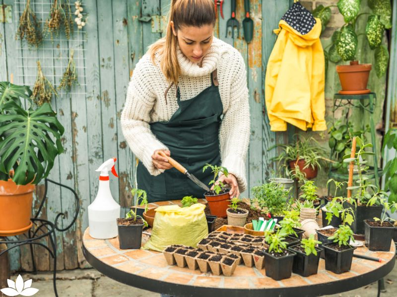 Top 10 Vegetables for Indoor Gardening: Cultivate Freshness and Flavor in Your Home