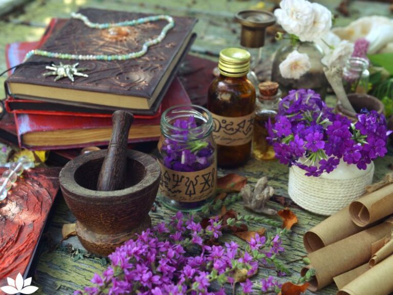 Creating a Witchy Herb Garden: Magical Herbs for Halloween Spells