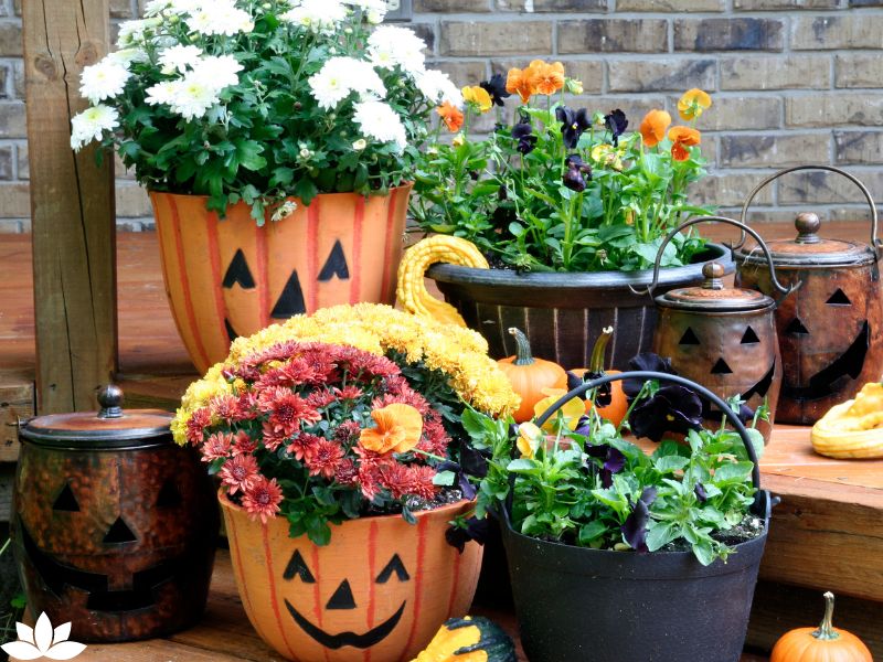 Creating a Witchy Herb Garden: Magical Herbs for Halloween Spells