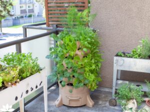 Gardening in Small Spaces: How to Build a Vertical Garden on Your Balcony