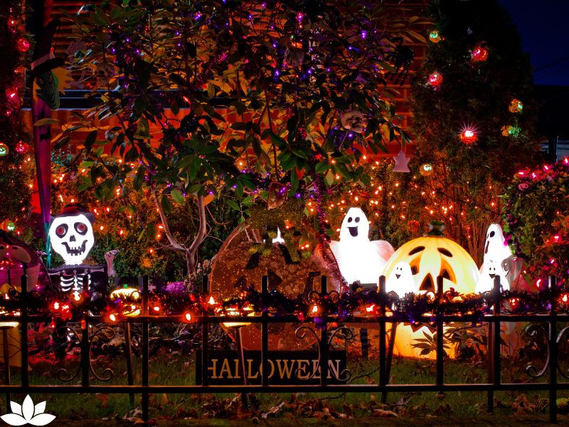 Spooky Plants for Your Halloween Garden: How to Grow a Haunted Garden