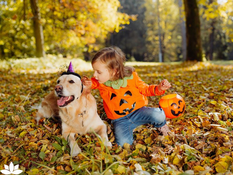 The History of Halloween Traditions: How We Got Trick-or-Treating and Jack-o'-Lanterns