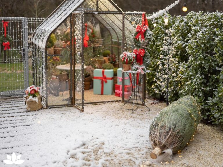 Creating a Magical Christmas Oasis: Sensory Winter Gardens