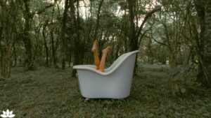 Forest Bathing at Home: How to Recreate Nature’s Healing Power Indoors for Stress Relief and Wellness