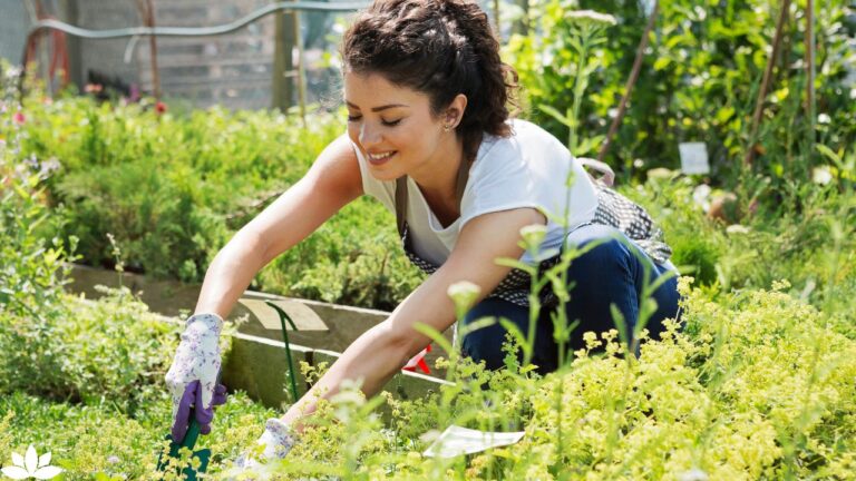 Mood Gardening: Which Plants Match Your Emotional State for Better Well-Being